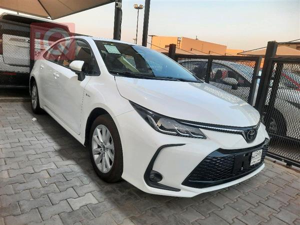 تويوتا كورولا 2025 للبيع في العراق - كربلاء